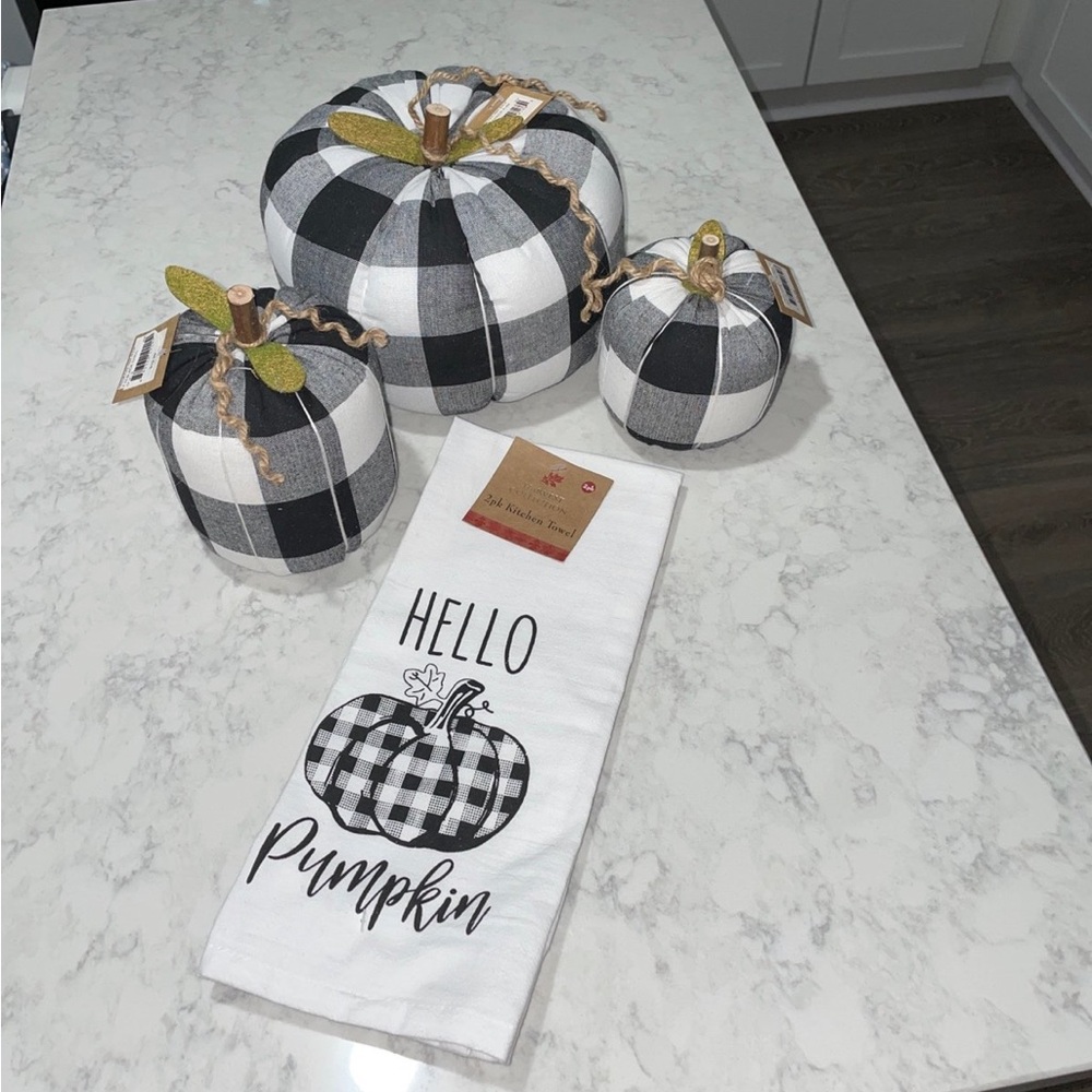 NWT Collins Black and White Checked Pumpkins